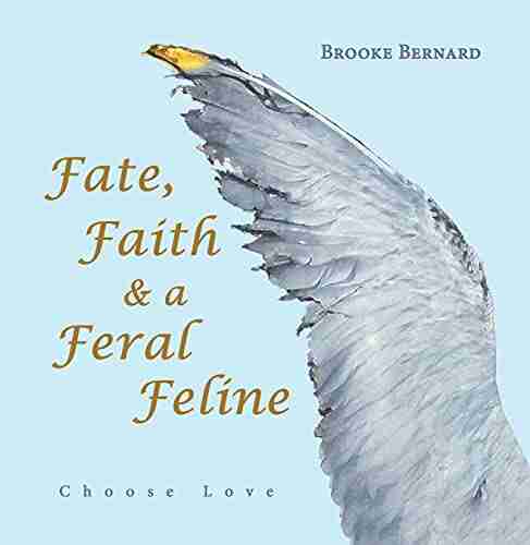 Fate Faith A Feral Feline: Choose Love