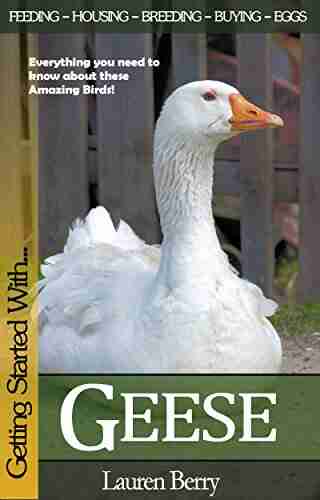 Getting Started with Geese (Getting Started with 4)