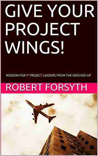 GIVE YOUR PROJECT WINGS : WISDOM FOR IT PROJECT LEADERS FROM THE GROUND UP