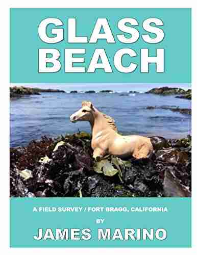 Glass Beach: A Field Survey / Fort Bragg California