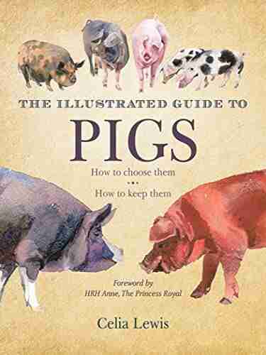 The Illustrated Guide To Pigs: How To Choose Them How To Keep Them