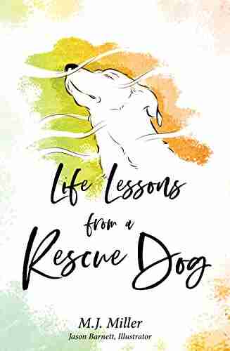 Life Lessons From A Rescue Dog