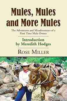 MULES MULES AND MORE MULES: The Adventures And Misadventures Of A First Time Mule Owner