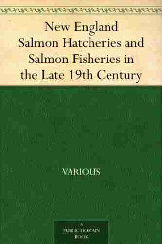 New England Salmon Hatcheries and Salmon Fisheries in the Late 19th Century