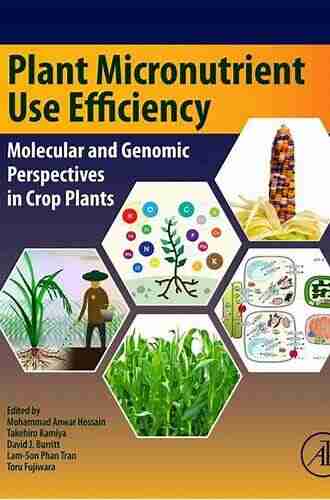 Plant Micronutrient Use Efficiency: Molecular and Genomic Perspectives in Crop Plants