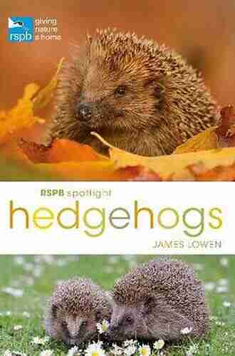 RSPB Spotlight Hedgehogs James Lowen