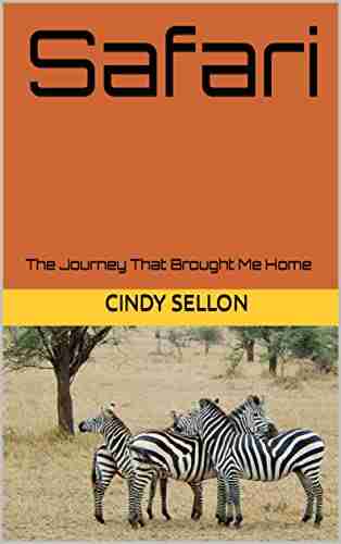 Safari: The Journey That Brought Me Home