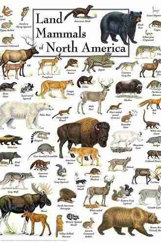 Mammals of North America: Second Edition (Princeton Field Guides 58)