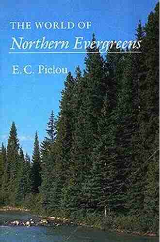 The World Of Northern Evergreens