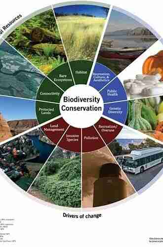 Complexity: The Evolution of Earth s Biodiversity and the Future of Humanity