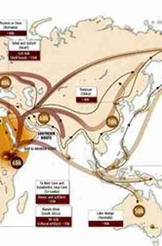 Bones Stones And Molecules: Out Of Africa And Human Origins