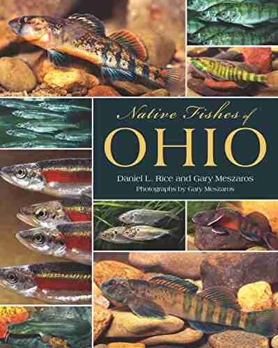 Native Fishes Of Ohio Daniel L Rice