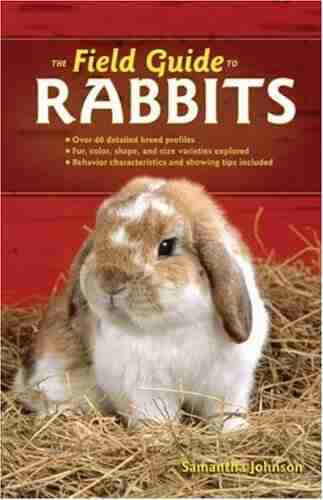 The Field Guide To Rabbits (Field Guide To (Voyageur Press))