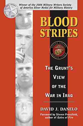 Blood Stripes: The Grunt s View of the War in Iraq