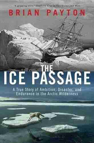 The Ice Passage: A True Story of Ambition Disaster and Endurance in the Arctic Wilderness