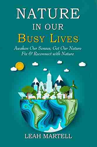 Nature In Our Busy Lives: Awaken Our Senses Get Our Nature Fix Reconnect With Nature