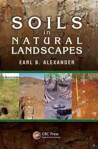 Soils In Natural Landscapes Earl B Alexander