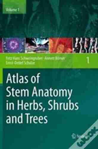 Atlas Of Stem Anatomy In Herbs Shrubs And Trees: Volume 1