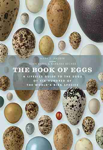 The of Eggs: A Lifesize Guide to the Eggs of Six Hundred of the World s Bird Species (Book Of Series)