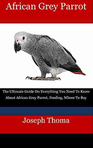 New TitleAfrican Grey Parrot: The Ultimate Guide On Everything You Need To Know About African Grey Parrot Feeding Where To Buy