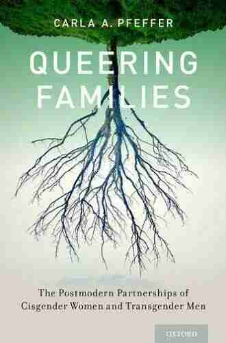 Queering Families: The Postmodern Partnerships of Cisgender Women and Transgender Men (Sexuality Identity and Society)