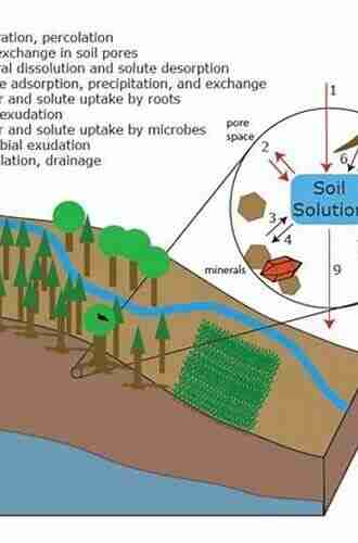 Soil Processes and Water Quality (Advances in Soil Science)