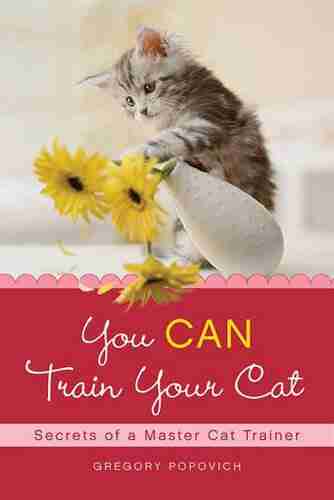 You CAN Train Your Cat: Secrets Of A Master Cat Trainer