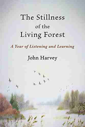 The Stillness of the Living Forest: A Year of Listening and Learning