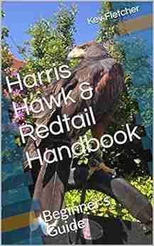 Harris Hawk Redtail Handbook: Beginner S Guide