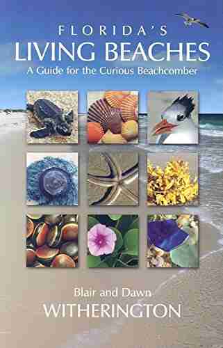 Florida S Living Beaches: A Guide For The Curious Beachcomber