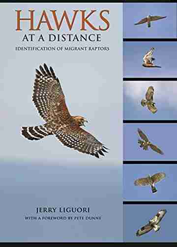 Hawks At A Distance: Identification Of Migrant Raptors