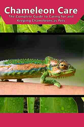 Chameleon Care: The Complete Guide to Caring for and Keeping Chameleons as Pets