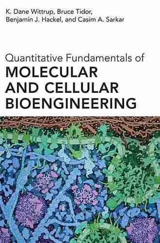 Quantitative Fundamentals Of Molecular And Cellular Bioengineering