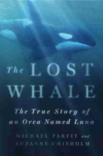 The Lost Whale: The True Story Of An Orca Named Luna