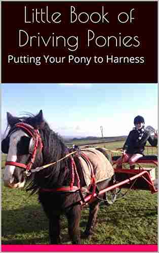 Little Of Driving Ponies: Putting Your Pony To Harness