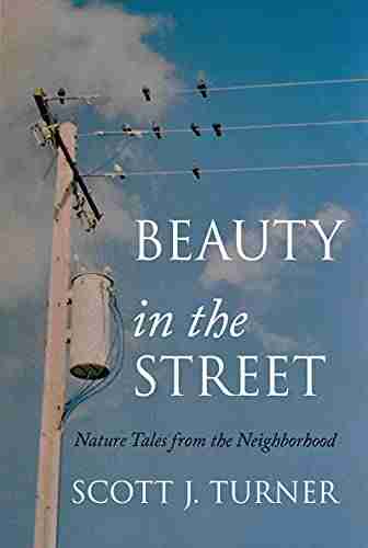 Beauty in the Street: Nature Tales from the Neighborhood