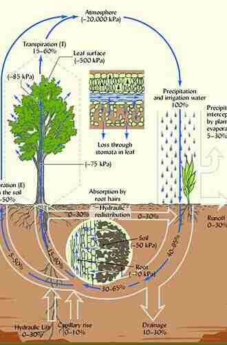 Transport in the Atmosphere Vegetation Soil Continuum