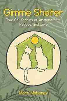 Gimme Shelter: True Cat Stories of Abandonment Rescue and Love