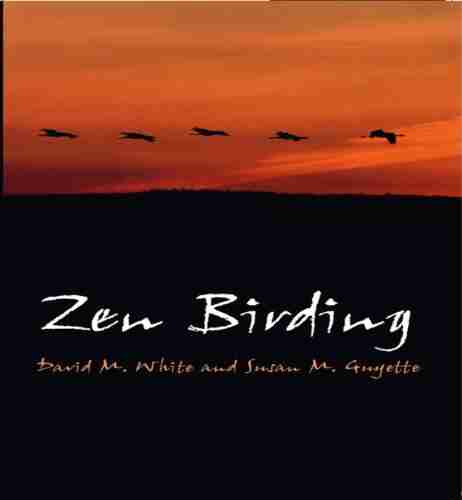 Zen Birding Scott Calvert