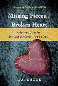 Missing Pieces Broken Heart: A Recovery Guide For The Grief And Sorrow Of Pet Loss