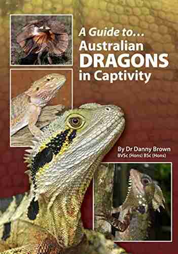 A Guide To Australian Dragons In Captivity