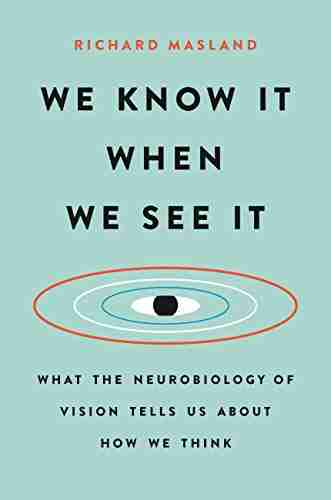 We Know It When We See It: What The Neurobiology Of Vision Tells Us About How We Think