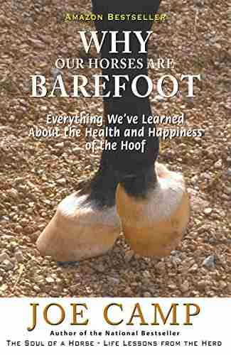 WHY OUR HORSES ARE BAREFOOT Everything We Ve Learned About The Health And Happiness Of The Hoof (eBook Nuggets From The Soul Of A Horse 3)