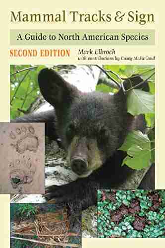 Mammal Tracks Sign: A Guide To North American Species