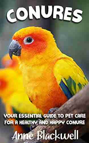 Conures: Your Essential Guide to Pet Care for a Healthy and Happy Conure